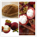 100% Natural Pure Mangosteen Juice Powder